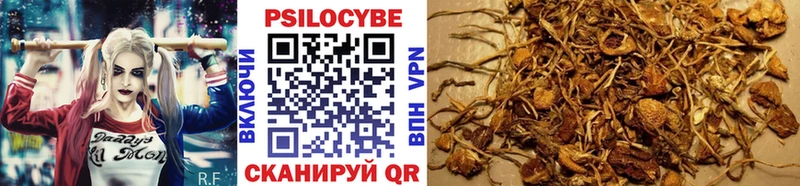 Купить закладки  Слободской  Галлюциногенные грибы Cubensis 